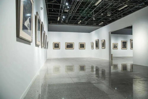 三展聯動 藝術、創新與傳承的視覺盛宴